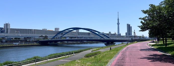水神大橋 is one of 隅田川に架かる橋.