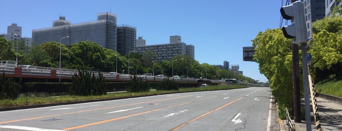 南港東8交差点 is one of 交差点@大阪府大阪市.