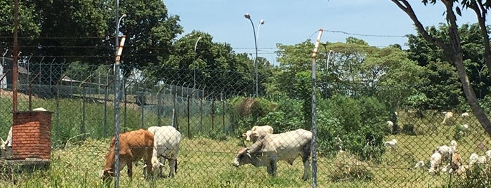 Jequitibá is one of Aonde comer em SJC?.