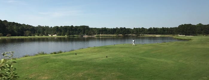 Carolina Trace Country Club is one of The golf courses I have played.