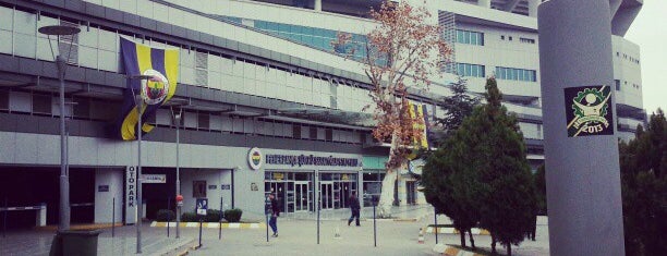 Ülker Fenerbahçe Şükrü Saracoğlu Stadium is one of Groundhopping.ru.
