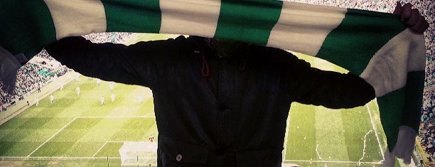 Celtic Park is one of Groundhopping.ru.