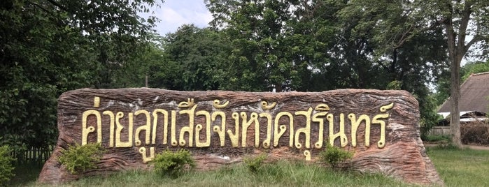 Surin Provincial Scout Camp is one of Bienvenue à Surin.