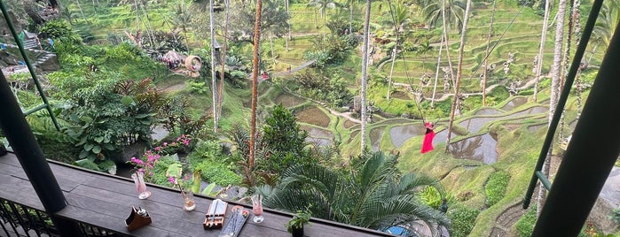Alas Harum Agroo Coffee Plantation is one of Bali / Indonesien.