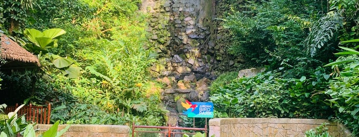 Waterfall Aviary is one of Singapur #3 🌴.