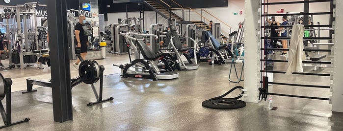 gym de gran canaria