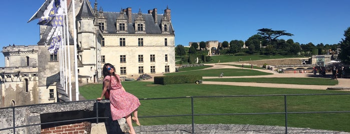 Château d'Amboise is one of Orte, die Яна gefallen.