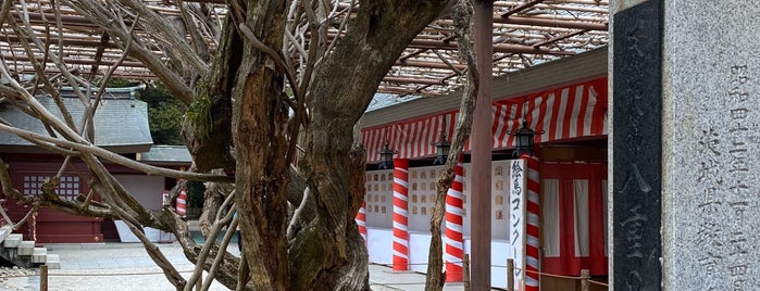 笠間稲荷神社 八重の藤 is one of 茨城に行ったらココに行く！ Vol.1.