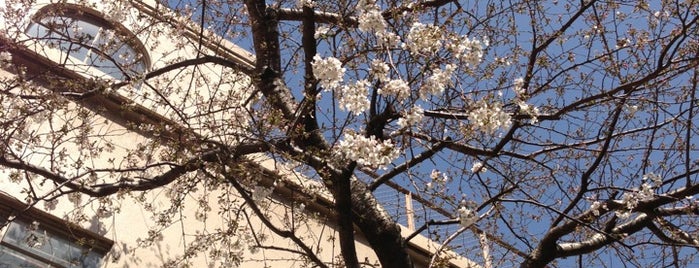 Tokiwa Elementary School is one of 歴史的建造物(Tokyo).