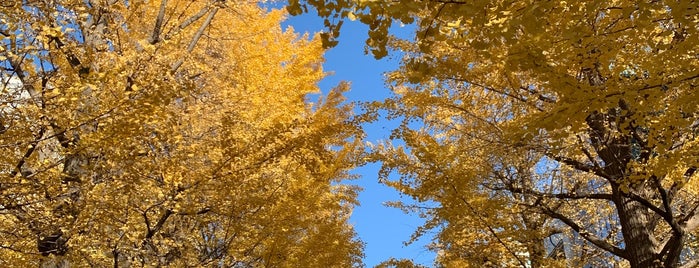 Hamacho Park is one of Nonono 님이 좋아한 장소.