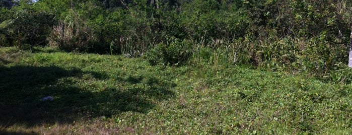 Parque Estuário is one of Guarujá.