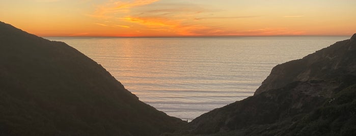 UCSD Surfing Black's Beach is one of Tempat yang Disukai MI.