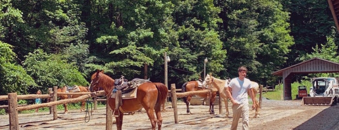 Sugarland Stables is one of Gatlinburg/Pigeon Forge.