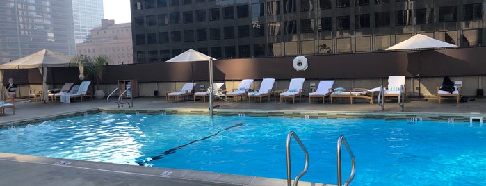 Westin Bonaventure Hotel Pool is one of Swimmies at Los Angeles.
