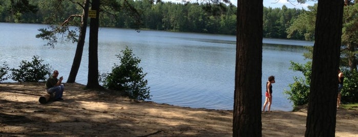 Озеро Малое Борково is one of Lieux qui ont plu à Aleksandra.
