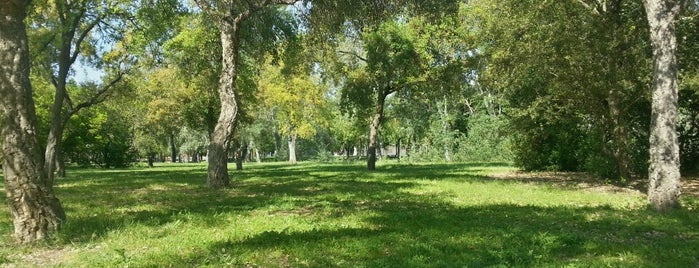 Parque del Alamillo is one of Lieux sauvegardés par Fabio.