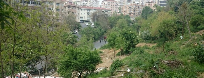 Dutluk Parkı is one of Tempat yang Disukai Mirza.