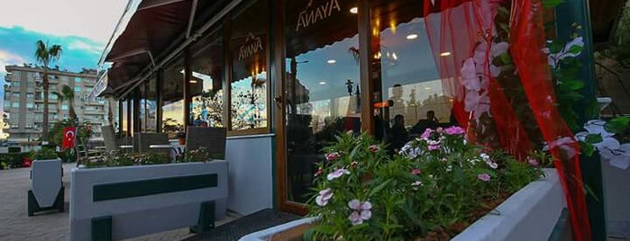 Dunya Nin En Guzel Buram Buram Tarih Kokan Cafeleri Turna Blog