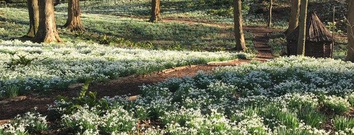 Painswick Rococo Garden is one of Gloucester Going Out.