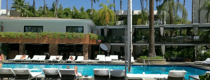 The Hollywood Roosevelt is one of The 15 Best Places with a Swimming Pool in Los Angeles.
