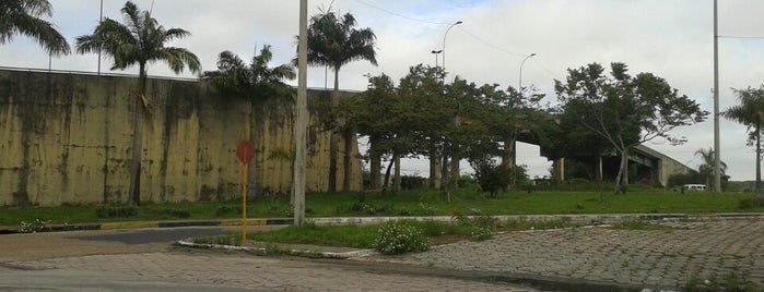 Viaduto Elcídes Ricardo is one of Viadutos em Manaus.