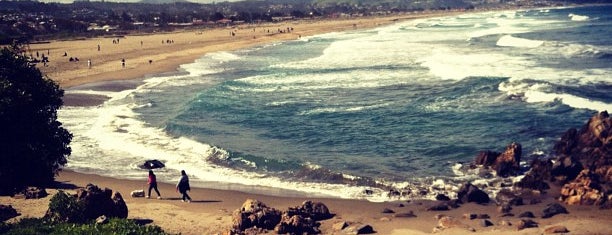 Playa Las Cruces is one of Mario'nun Beğendiği Mekanlar.