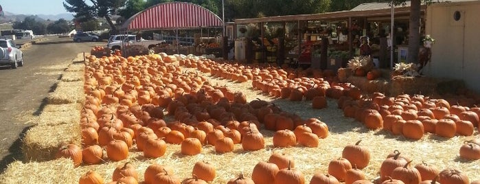 Underwood Family Farms is one of Best Pumpkin Patches in the Valley.