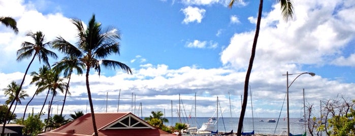 Lahaina Harbor is one of Maui The Valley Isle.