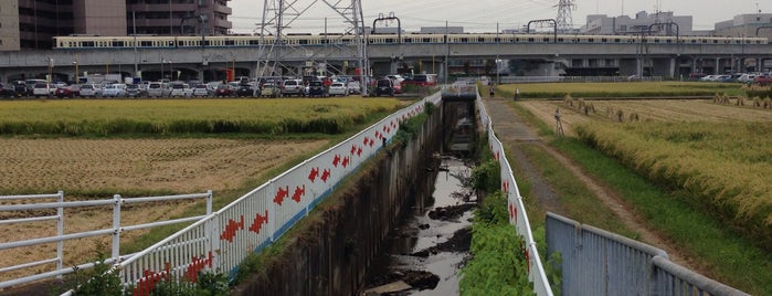 一大縄橋 is one of req2_2015.