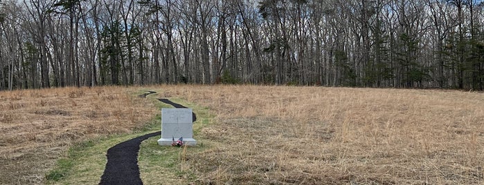 Wilderness Battlefield is one of Virginia Jaunts.