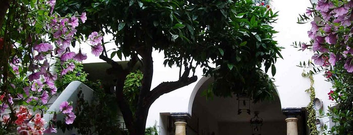 Casa-Patio de la calle Pastora, 2 is one of Patios de Cordoba.