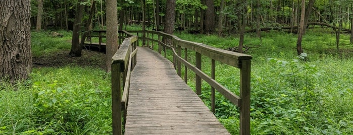 Ryerson Conservation Area is one of Forest Preserves.