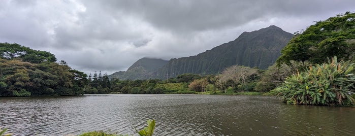 Ho‘omaluhia Botanical Garden is one of O'ahu, Hawaii.