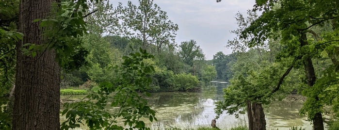 Fullersburg Forest Preserve is one of Chicagoland Trail Running.