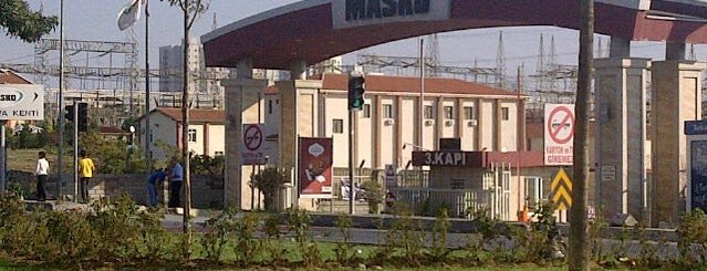 Masko is one of Istanbul.