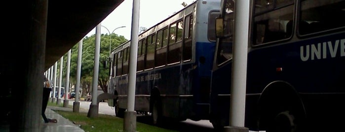 Parada autobúses Ucv. is one of Universidad Central de Venezuela.