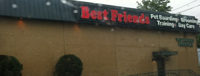 Best Friends Pet Care is one of Ken’s Liked Places.