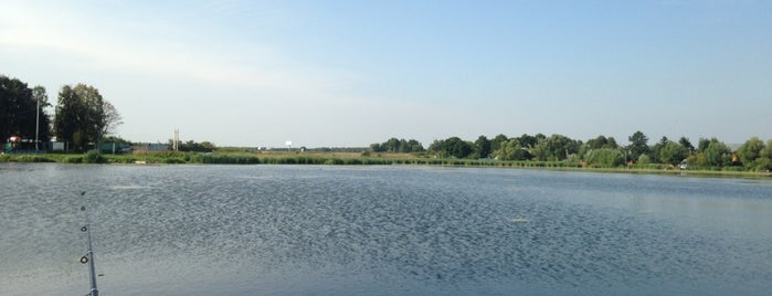 Черкизовское озеро is one of Lieux qui ont plu à Di.