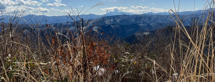 Mt. Otake is one of 東京.