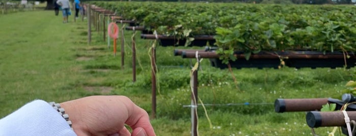 Parkside Farm is one of EU - Attractions in Great Britain.