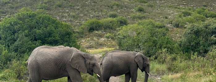 Kwena is one of Lugares favoritos de Francisca.