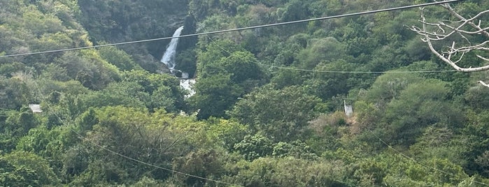 Ziplines @ Casela is one of Mauritius.