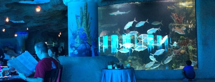 Aquarium Restaurant is one of Top 11 Seafood Restaurants in Houston Bay Area.