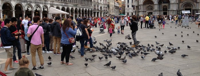 Piazza San Marco is one of Vince's Dream-Check-in's.