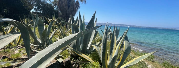 Venüs Plajı is one of Çeşme.