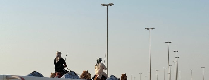 Al Shahaniyah Camel Race Track is one of A local’s guide: 48 hours in Doha, Qatar.