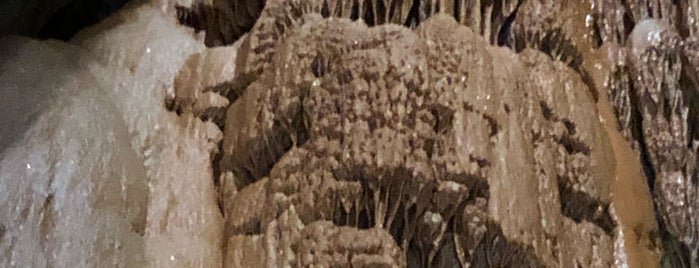 Grotta di Su Mannau is one of Locais curtidos por FWB.
