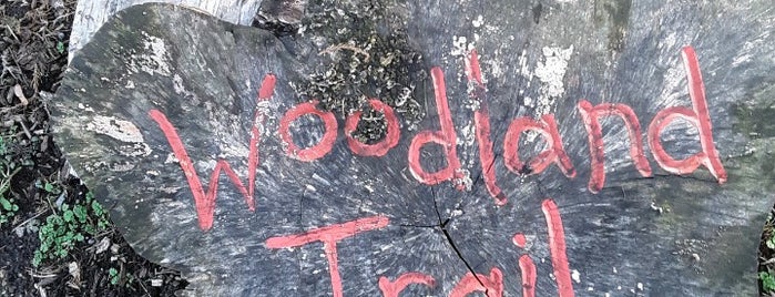 Woodland Trail is one of Locais curtidos por Andrew.