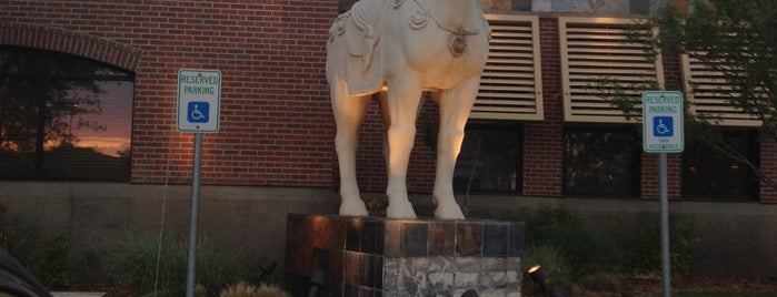 P.F. Chang's is one of The 15 Best Places for Brown Rice in Oklahoma City.