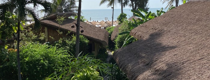 Bamboo Village Beach, Resort & Spa is one of Phan Thiết.
